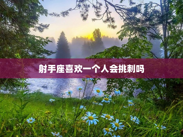 射手座喜歡一個人會挑刺嗎