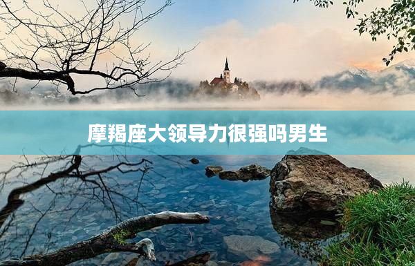 摩羯座大領(lǐng)導(dǎo)力很強嗎男生