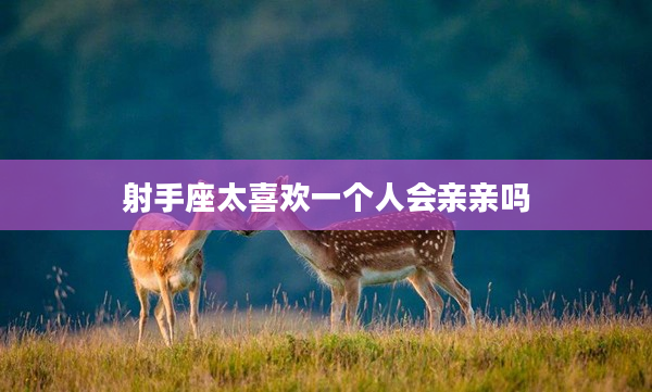 射手座太喜歡一個人會親親嗎