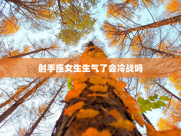 射手座女生生氣了會(huì)冷戰(zhàn)嗎
