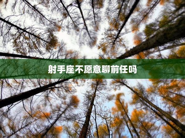 射手座不愿意聊前任嗎