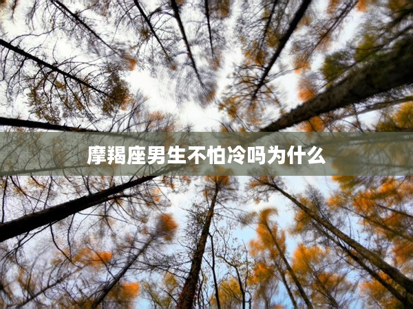 摩羯座男生不怕冷嗎為什么