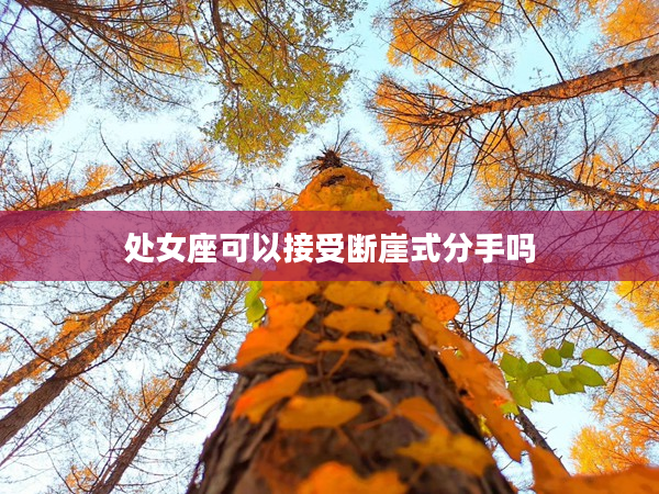 處女座可以接受斷崖式分手嗎