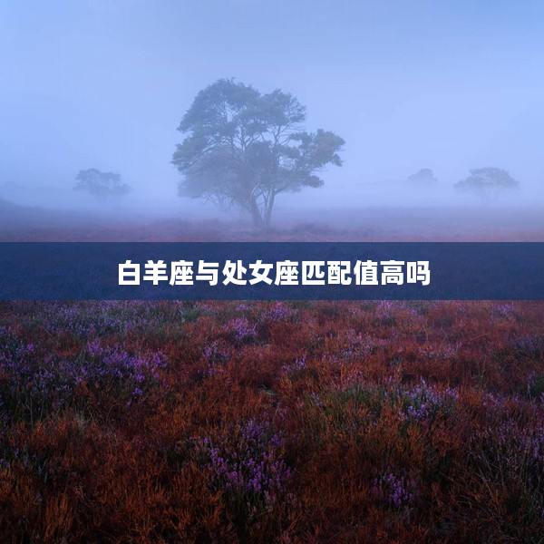 白羊座與處女座匹配值高嗎