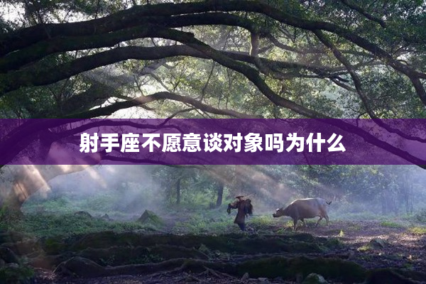 射手座不愿意談對象嗎為什么