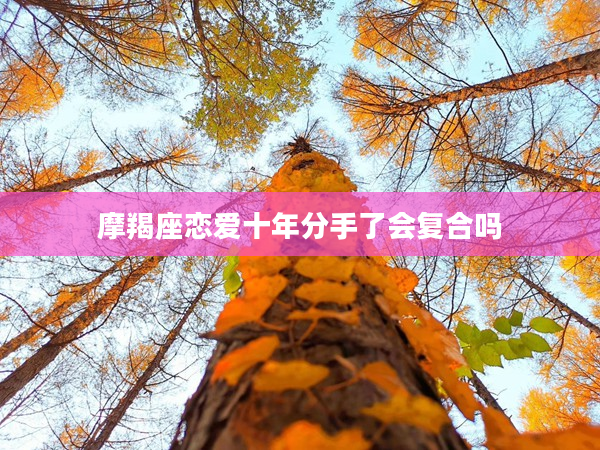 摩羯座戀愛十年分手了會復合嗎