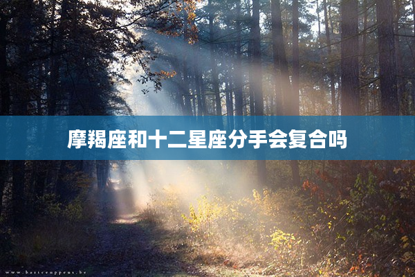 摩羯座和十二星座分手會復合嗎