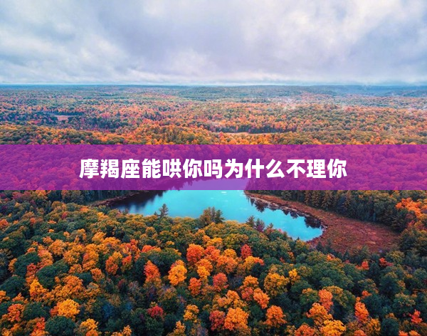 摩羯座能哄你嗎為什么不理你