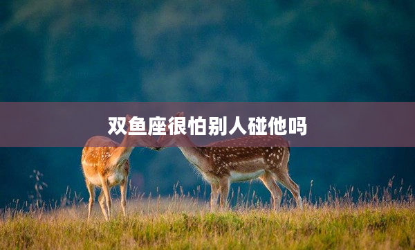 雙魚座很怕別人碰他嗎