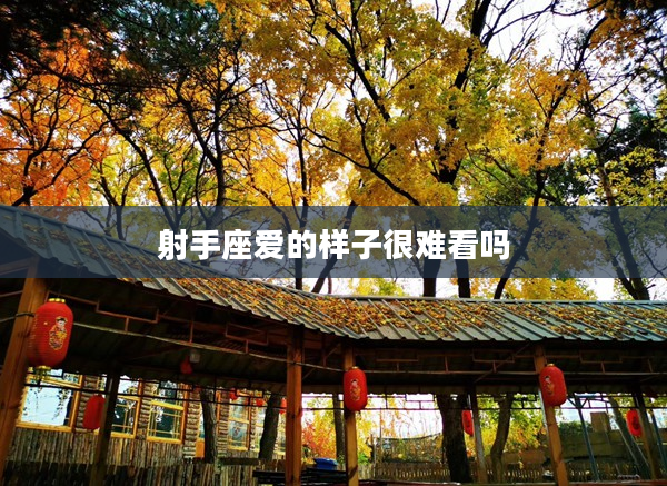 射手座愛的樣子很難看嗎