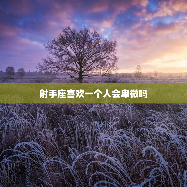 射手座喜歡一個人會卑微嗎