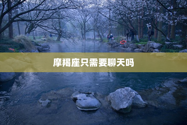 摩羯座只需要聊天嗎