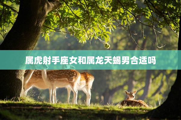 屬虎射手座女和屬龍天蝎男合適嗎