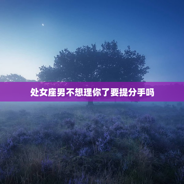 處女座男不想理你了要提分手嗎