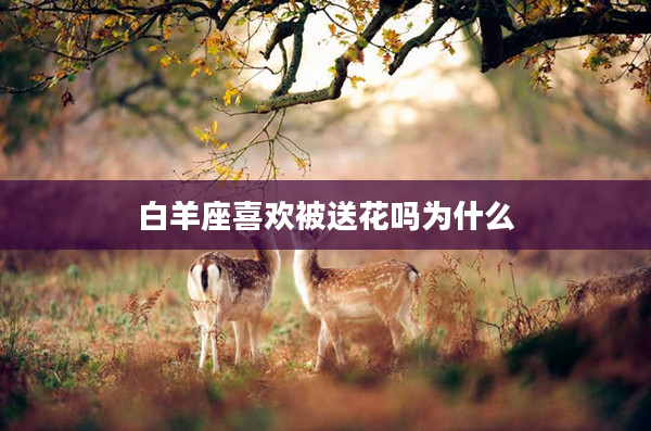 白羊座喜歡被送花嗎為什么