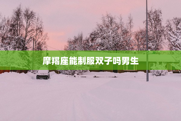 摩羯座能制服雙子嗎男生