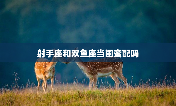 射手座和雙魚座當閨蜜配嗎