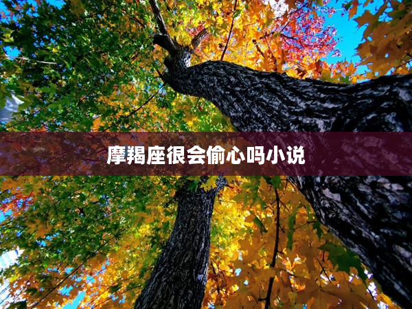 摩羯座很會偷心嗎小說