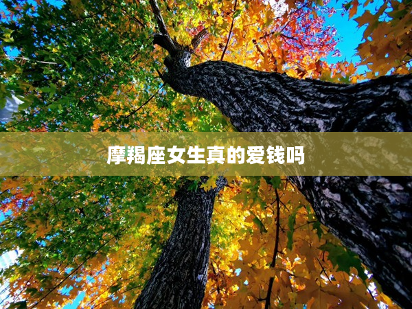 摩羯座女生真的愛錢嗎