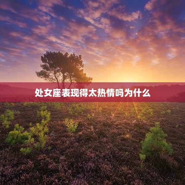 處女座表現得太熱情嗎為什么