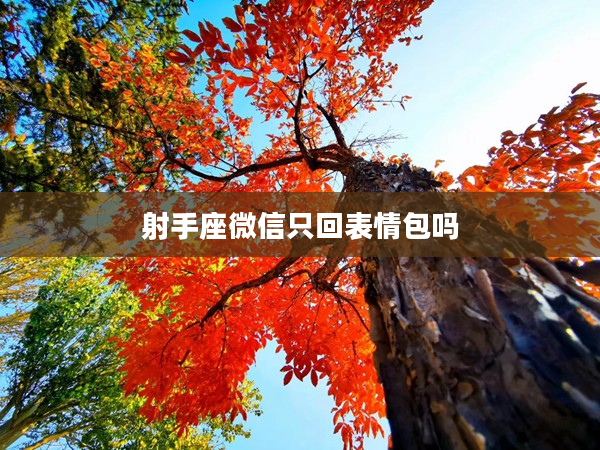 射手座微信只回表情包嗎