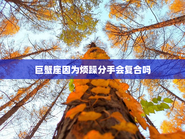 巨蟹座因?yàn)闊┰攴质謺?huì)復(fù)合嗎