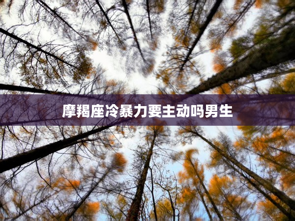 摩羯座冷暴力要主動嗎男生