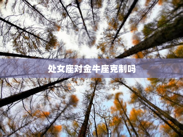 處女座對金牛座克制嗎