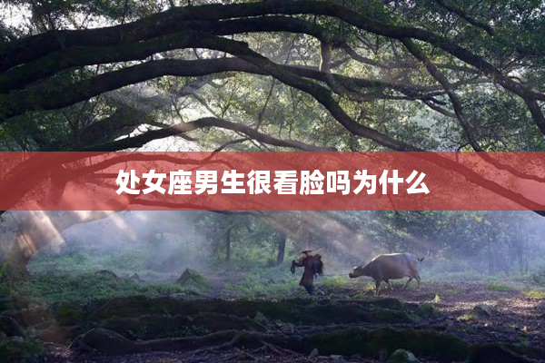 處女座男生很看臉嗎為什么