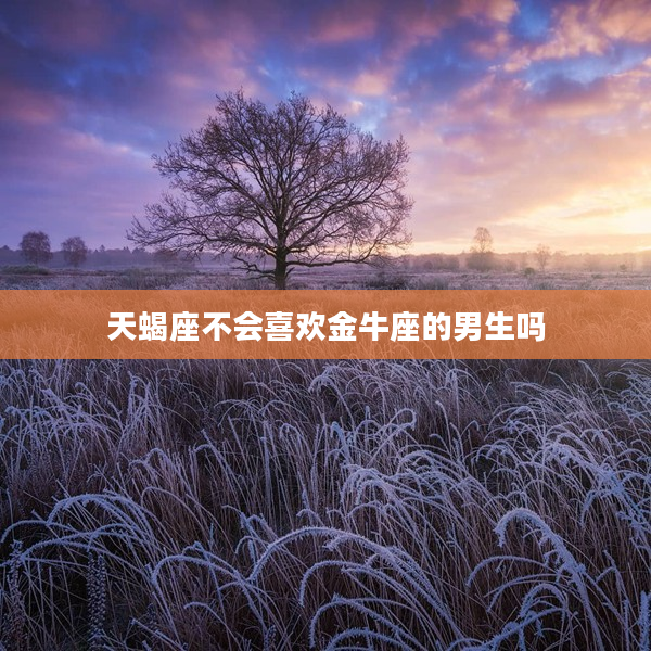 天蝎座不會喜歡金牛座的男生嗎