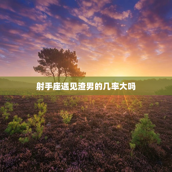 射手座遇見渣男的幾率大嗎