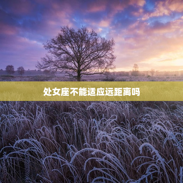 處女座不能適應遠距離嗎