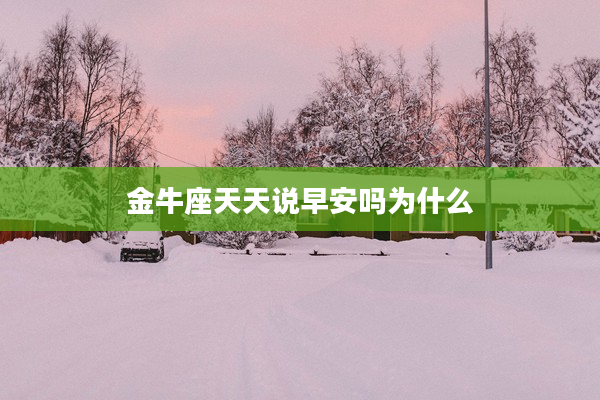 金牛座天天說早安嗎為什么