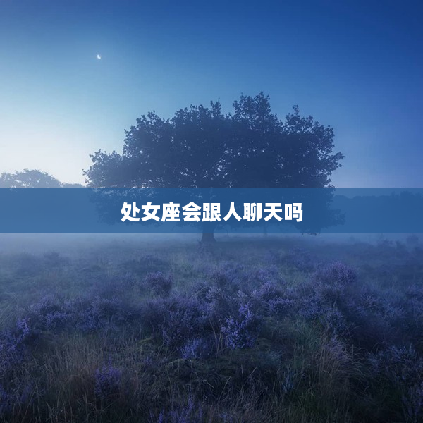 處女座會跟人聊天嗎