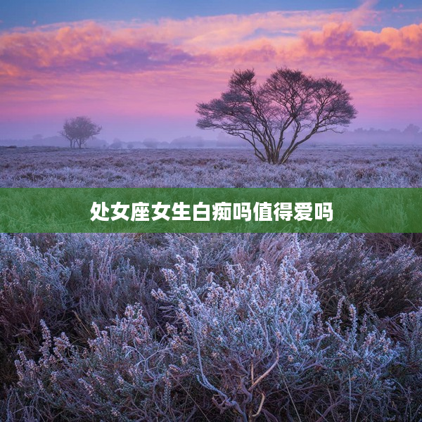 處女座女生白癡嗎值得愛嗎