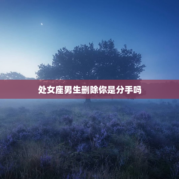 處女座男生刪除你是分手嗎