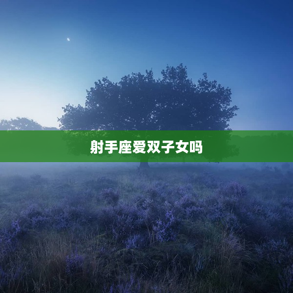 射手座愛雙子女嗎