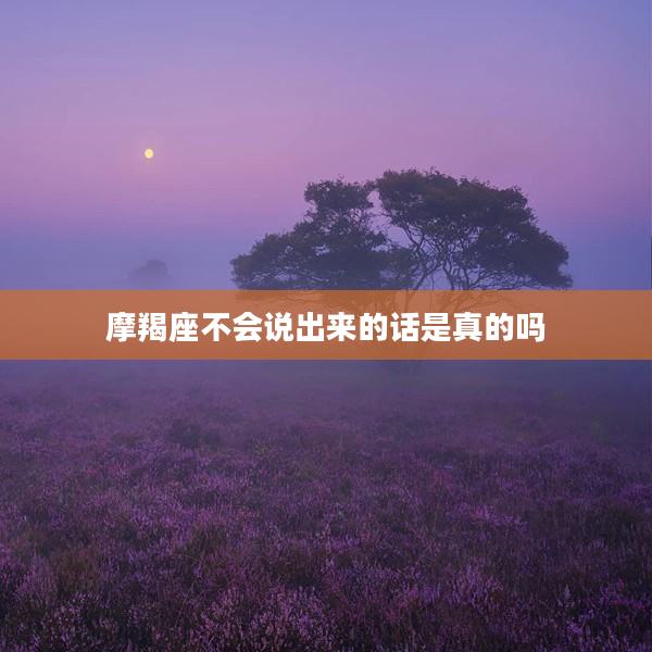 摩羯座不會說出來的話是真的嗎