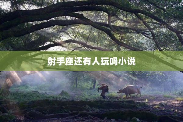 射手座還有人玩嗎小說