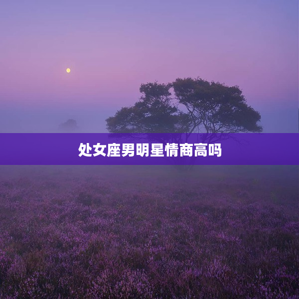 處女座男明星情商高嗎