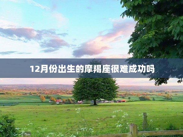 12月份出生的摩羯座很難成功嗎
