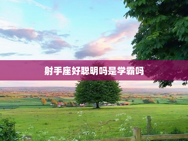 射手座好聰明嗎是學霸嗎