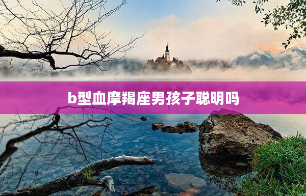 b型血摩羯座男孩子聰明嗎