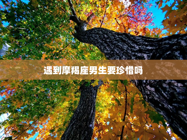 遇到摩羯座男生要珍惜嗎