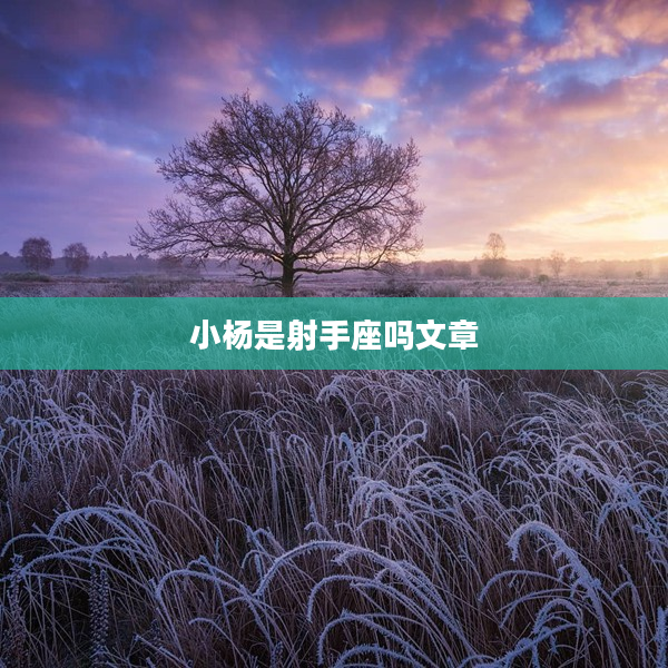 小楊是射手座嗎文章