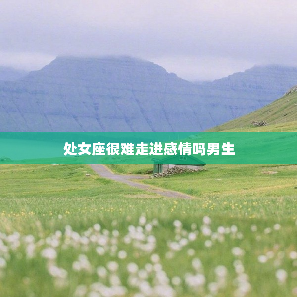 處女座很難走進感情嗎男生