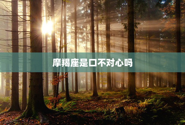 摩羯座是口不對心嗎