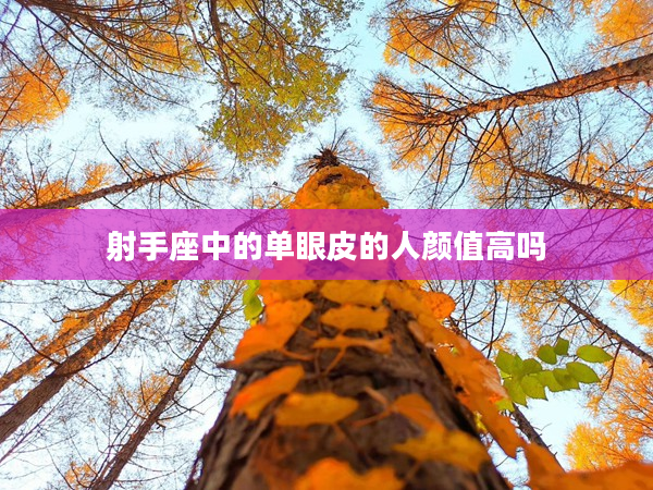 射手座中的單眼皮的人顏值高嗎