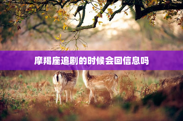 摩羯座追劇的時(shí)候會(huì)回信息嗎