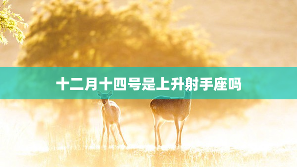 十二月十四號是上升射手座嗎